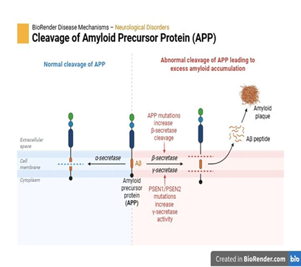 Graphical Abstract