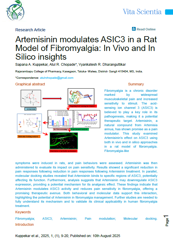Article Icon
