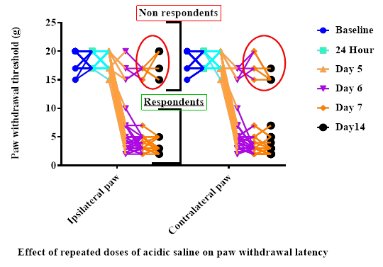 Graphical Abstract